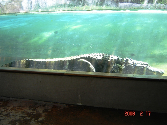 Foto de Escobar, Buenos Aires, Argentina