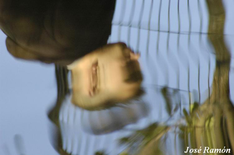 Foto de Cádiz (Andalucía), España