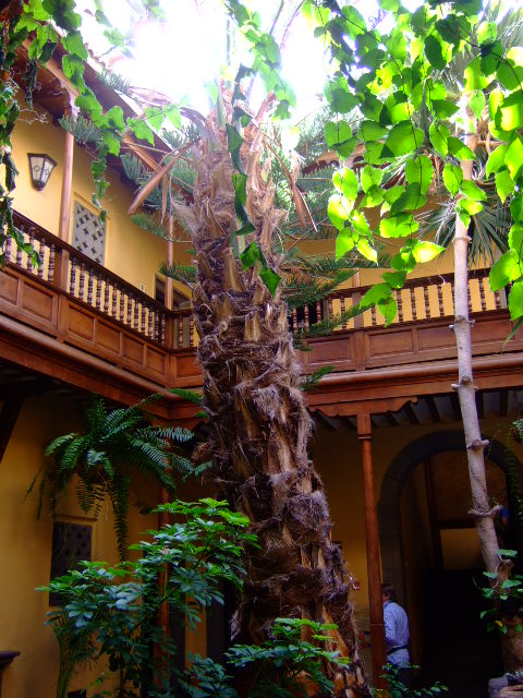 Foto de Las Palmas de Gran Canaria (Las Palmas), España