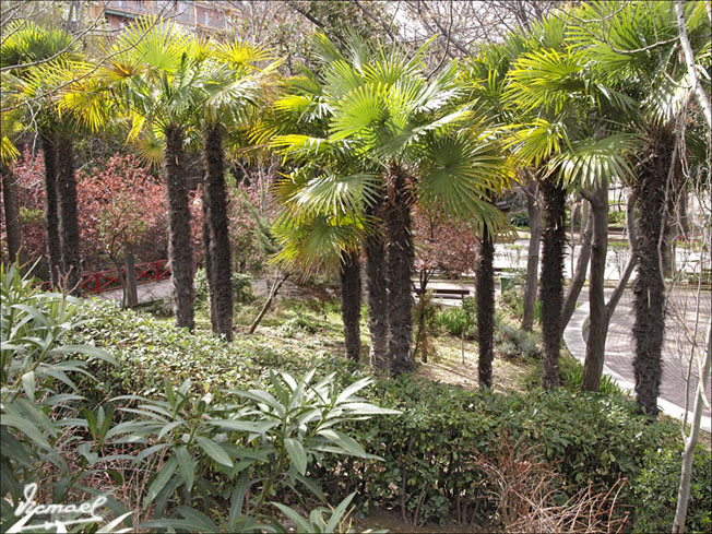 Foto de Zaragoza (Aragón), España
