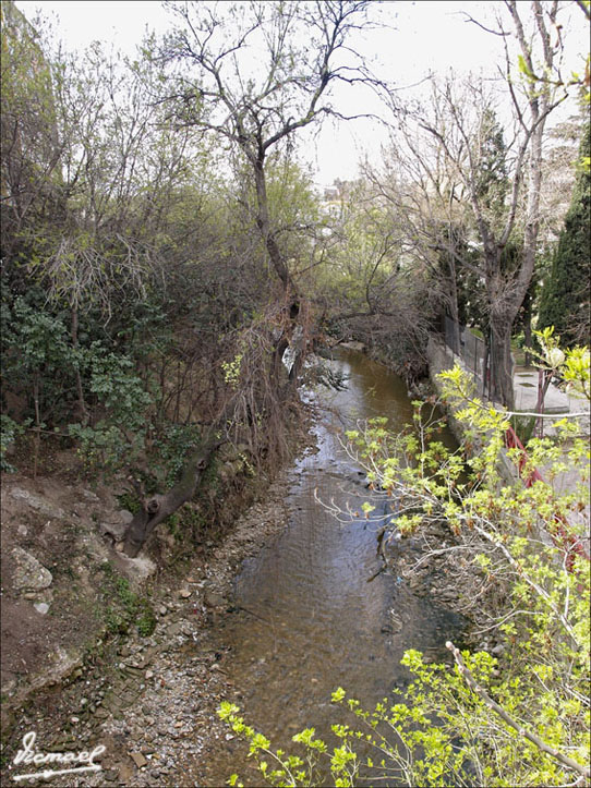 Foto de Zaragoza (Aragón), España