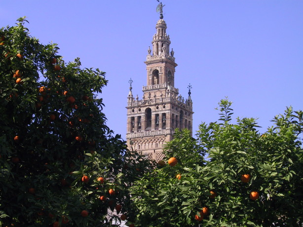 Foto de Sevilla (Andalucía), España