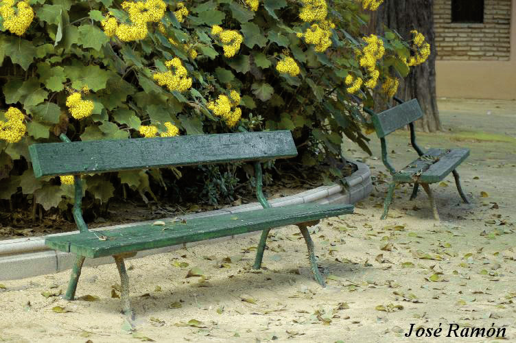 Foto de Jerez de la Frontera (Cádiz), España