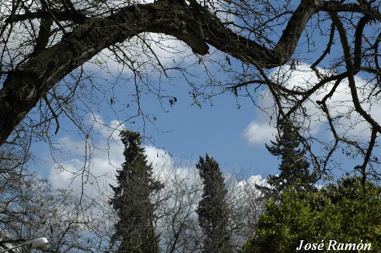 Foto de Jerez de la Frontera (Cádiz), España