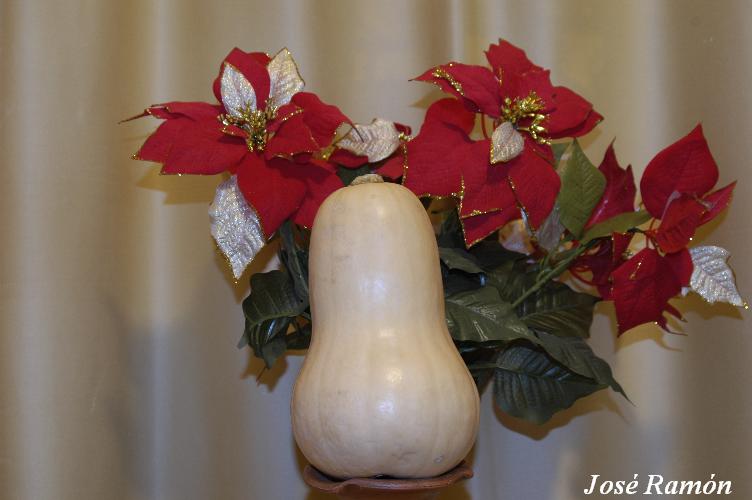 Foto de Jerez de la Frontera (Cádiz), España