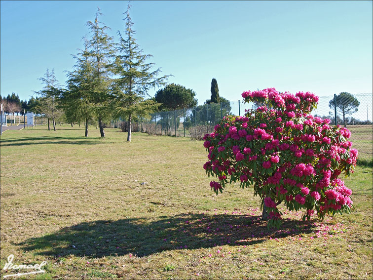 Foto de Santiago de Compostela (A Coruña), España
