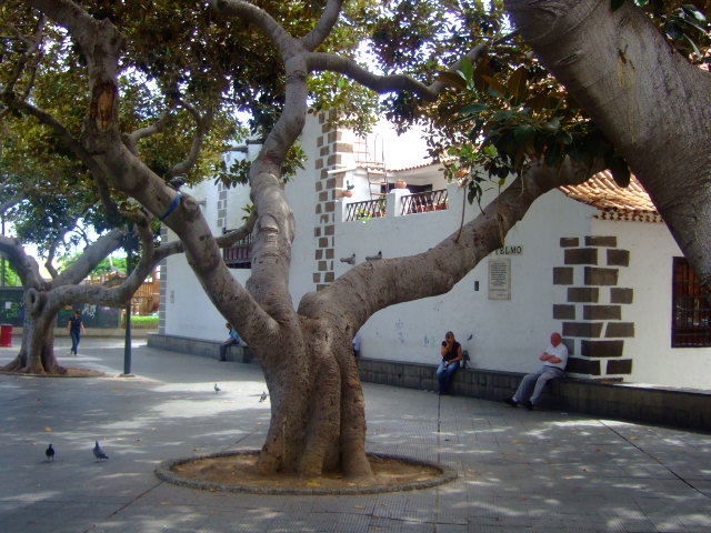 Foto de Las Palmas de Gran Canaria (Las Palmas), España