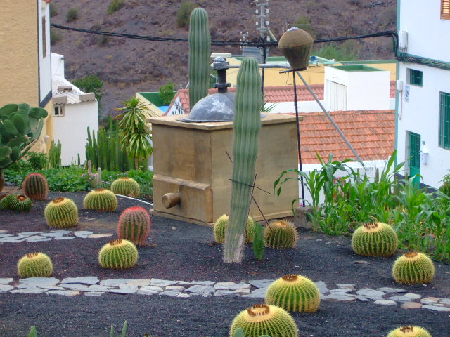 Foto de Molino de Viento (Las Palmas), España