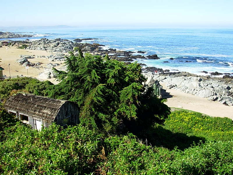 Foto de Isla Negra - El Quisco, Chile