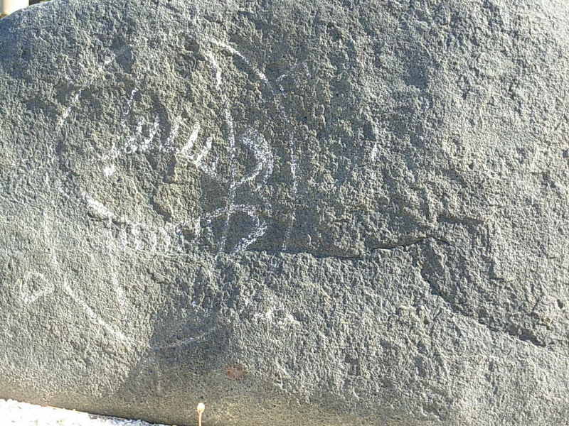 Foto de Isla Negra - El Quisco, Chile