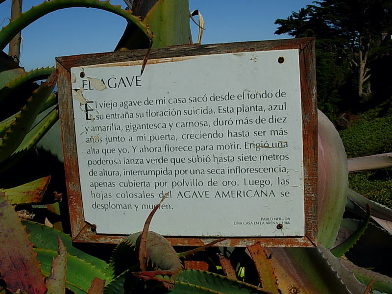 Foto de Isla Negra - El Quisco, Chile