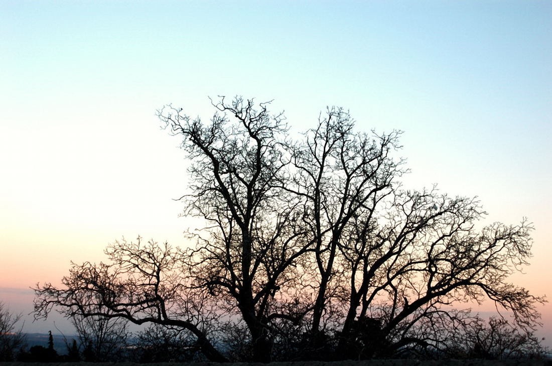 Foto de San Lorenzo del Escorial (Madrid), España
