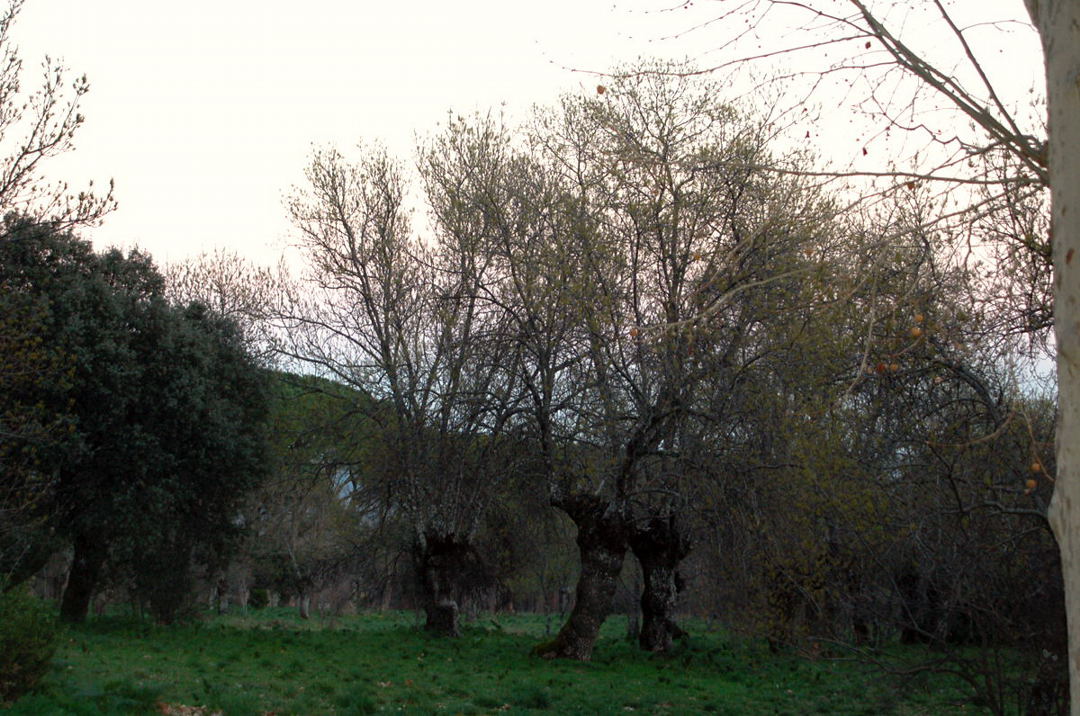 Foto de San Lorenzo del Escorial (Madrid), España