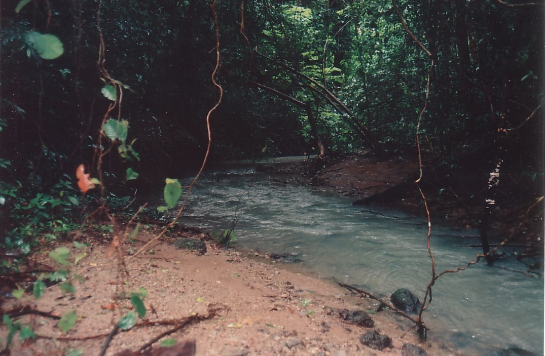 Foto de Quepos, Costa Rica