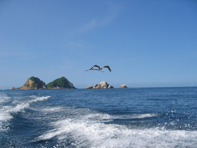Foto de Barra de Navidad, Jalisco, México