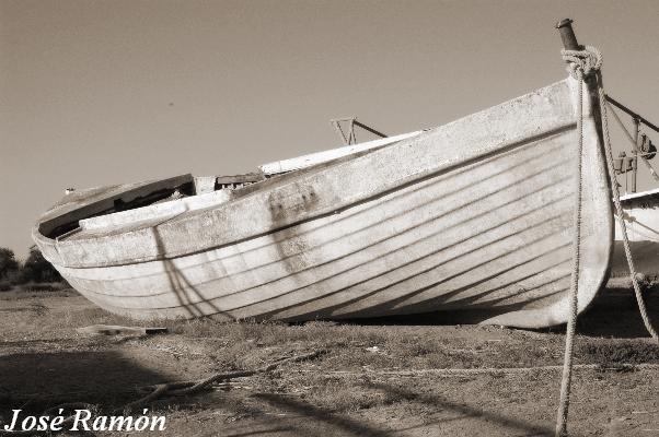 Foto de Trebujena (Cádiz), España