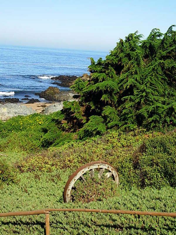 Foto de Isla Negra - El Quisco, Chile