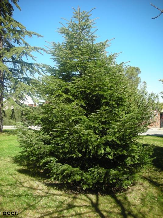 Foto de Pozuelo de Alarcón (Madrid), España