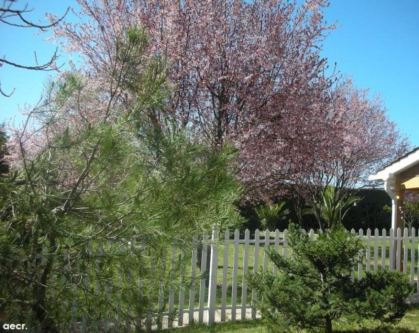 Foto de Pozuelo de Alarcón (Madrid), España