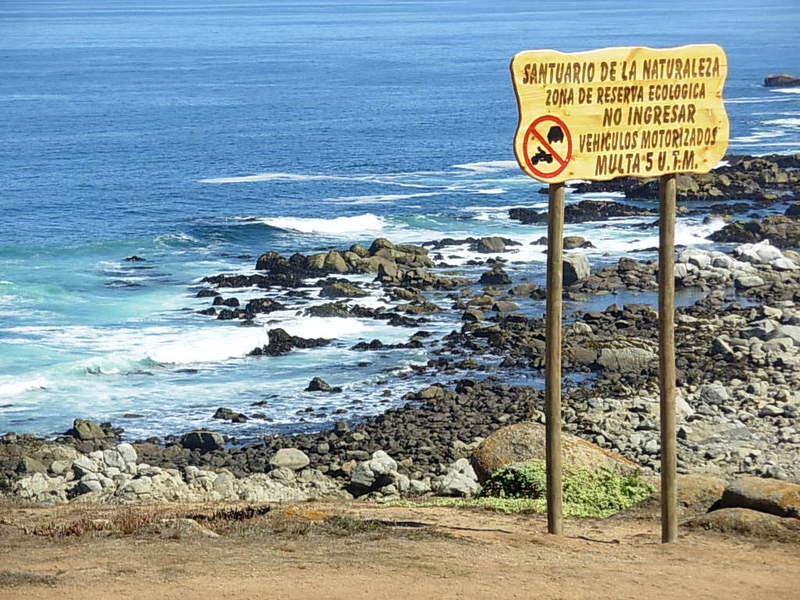 Foto de El Quisco, Chile