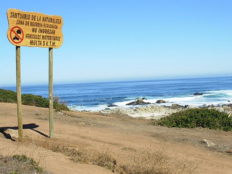 Foto de El Quisco, Chile