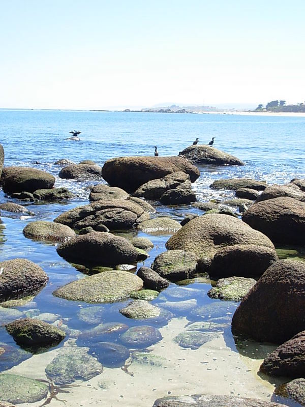 Foto de El Quisco, Chile