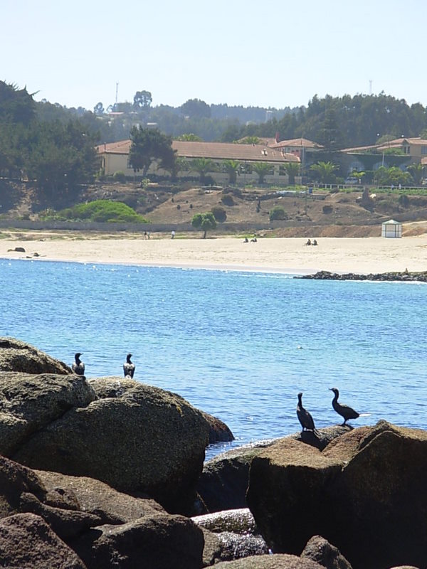 Foto de El Quisco, Chile