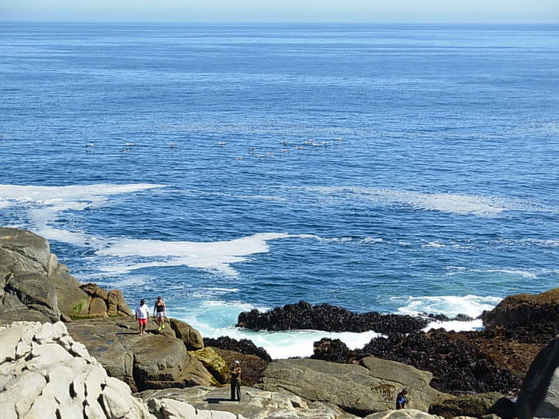 Foto de El Quisco, Chile