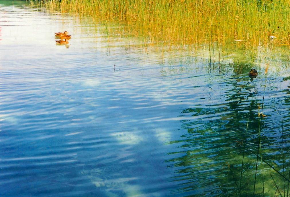 Foto de Banyoles (Girona), España