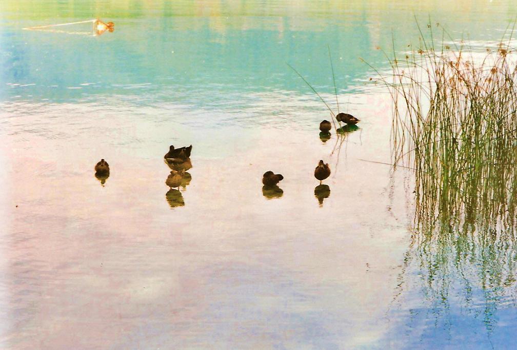 Foto de Banyoles (Girona), España