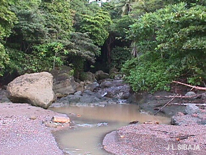 Foto de Montezuma (Puntarenas), Costa Rica