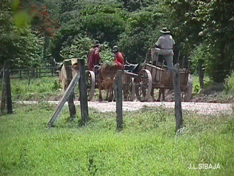 Foto de Sandillal (Guanacaste), Costa Rica