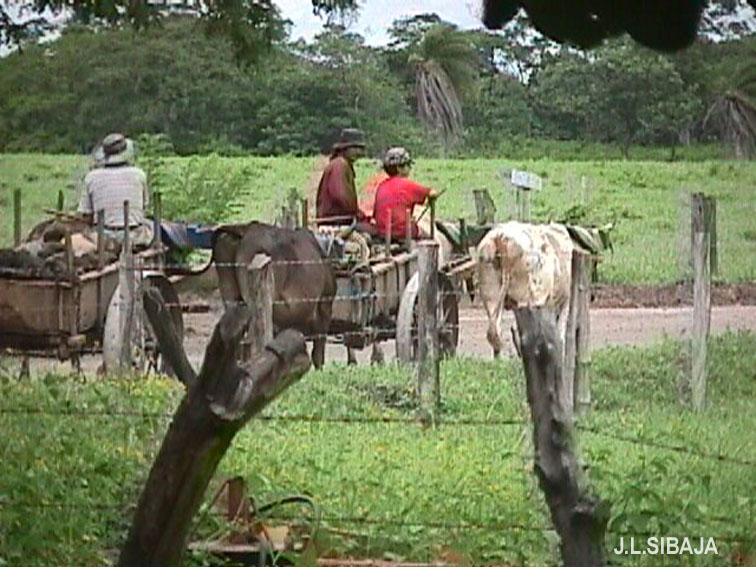 Foto de Sandillal (Guanacaste), Costa Rica