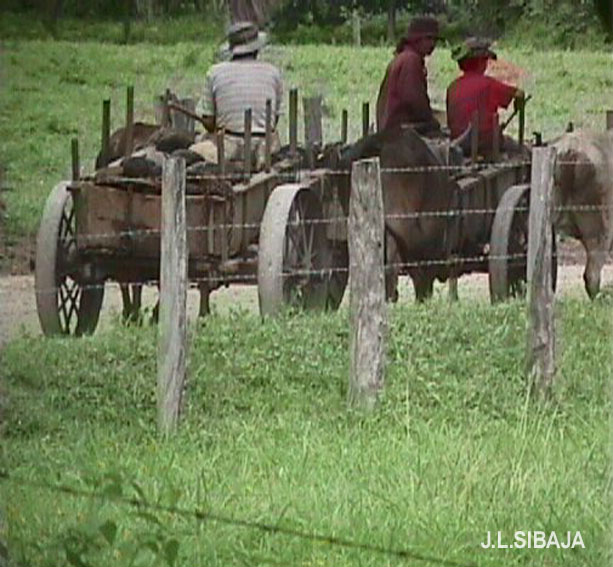 Foto de Sandillal (Guanacaste), Costa Rica