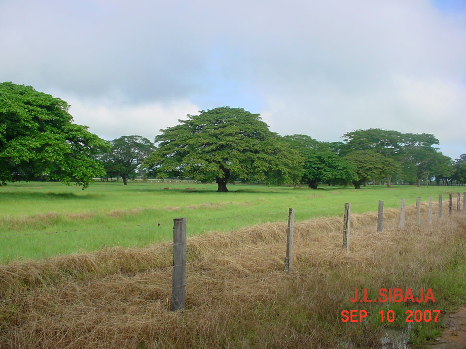 Foto de Sandillal (Guanacaste), Costa Rica
