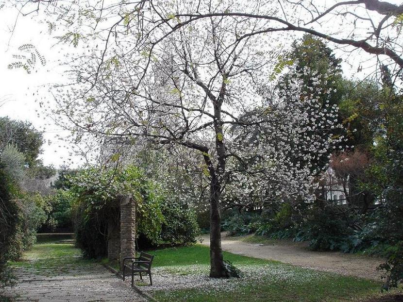 Foto de Barcelona (Cataluña), España