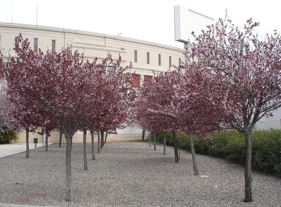 Foto de Barcelona (Cataluña), España