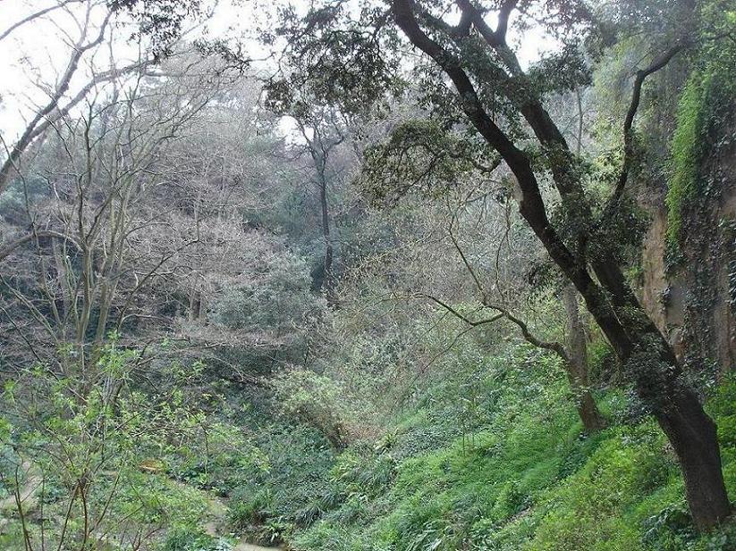 Foto de Barcelona (Cataluña), España