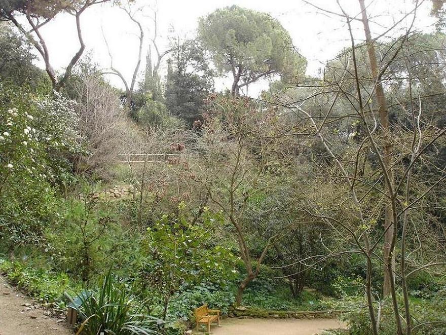 Foto de Barcelona (Cataluña), España