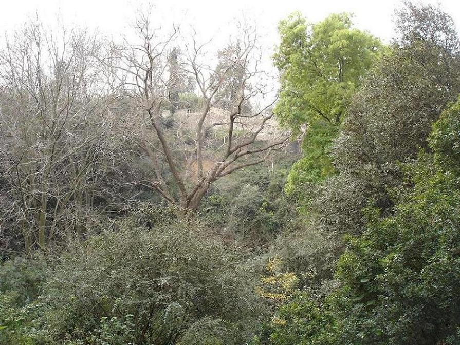 Foto de Barcelona (Cataluña), España