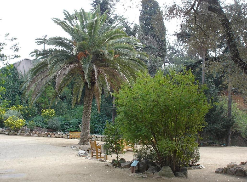 Foto de Barcelona (Cataluña), España