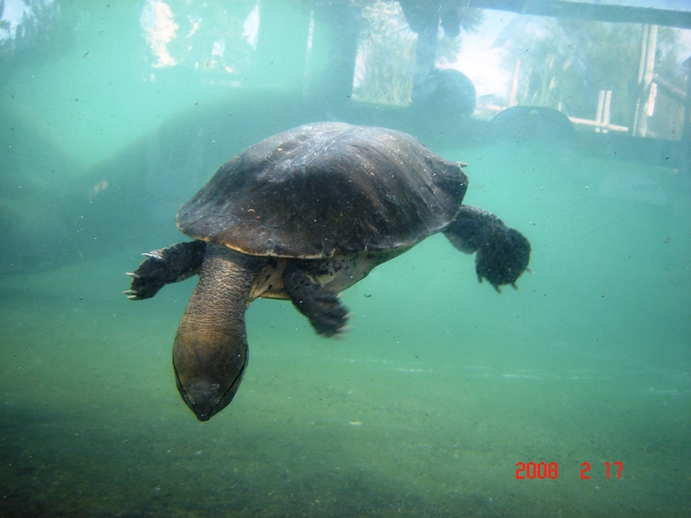 Foto de Escobar, Buenos Aires, Argentina