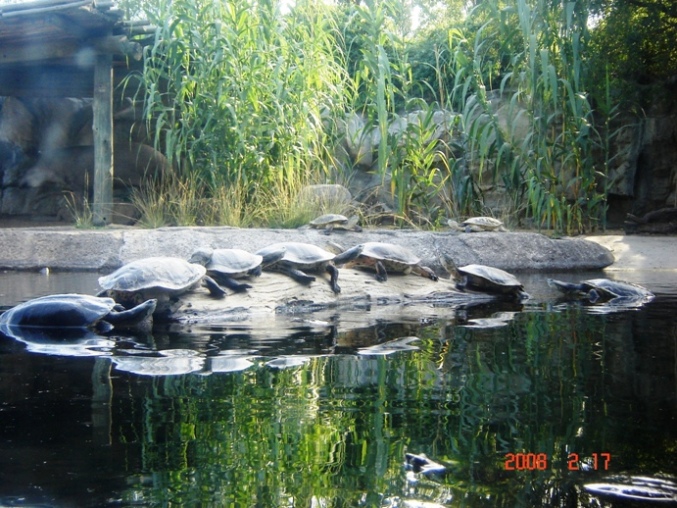 Foto de Escobar, Buenos Aires, Argentina