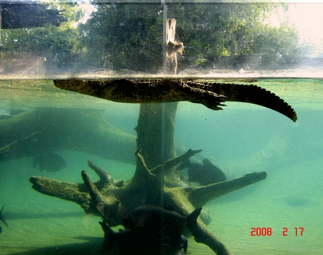 Foto de Escobar, Buenos Aires, Argentina