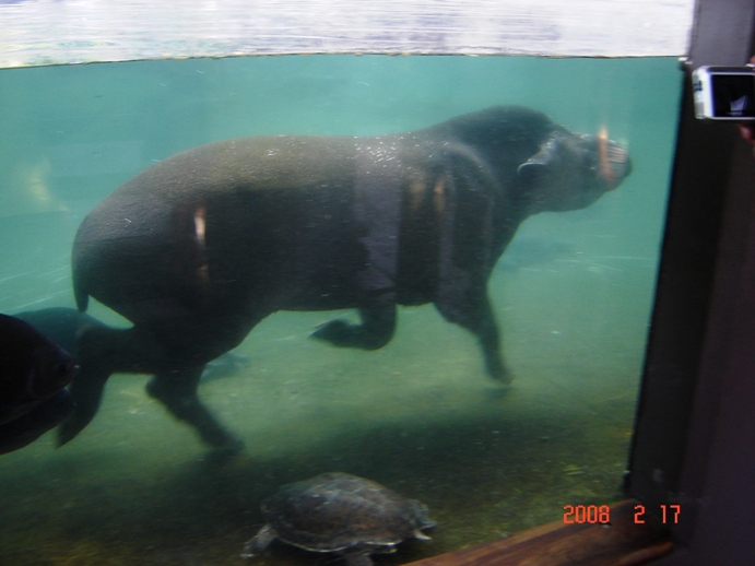 Foto de Escobar, Buenos Aires, Argentina