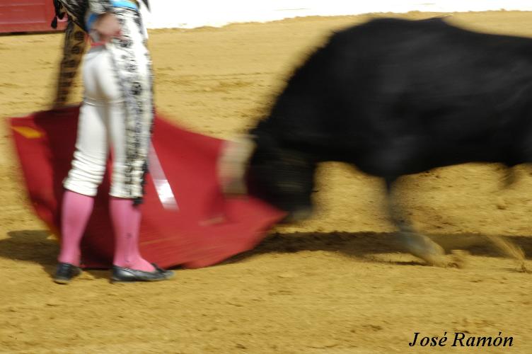 Foto de Jerez de la Frontera (Cádiz), España