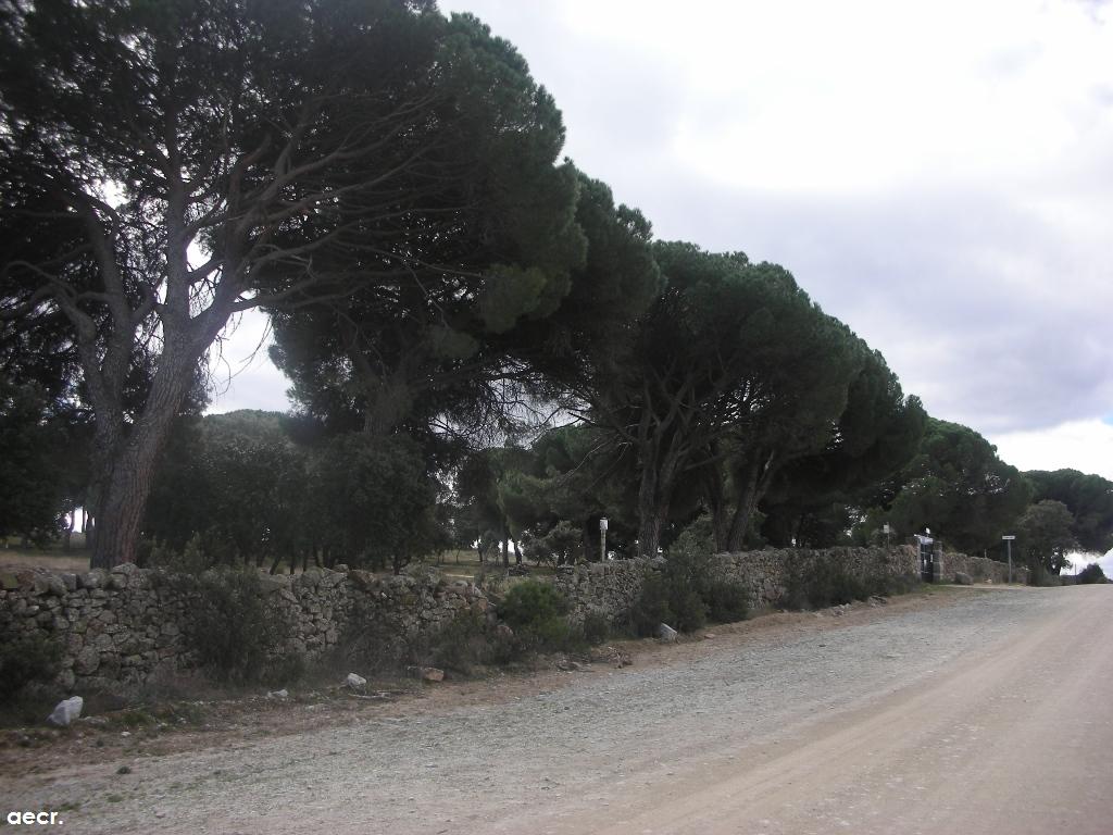 Foto de Valdemorillo (Madrid), España