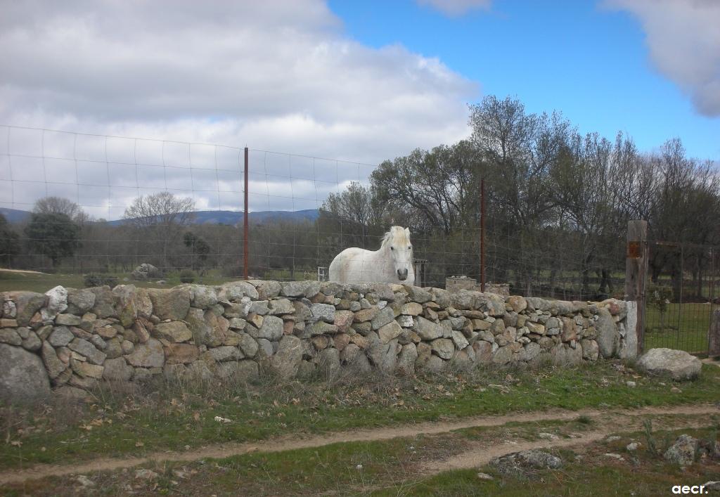 Foto de Valdemorillo (Madrid), España
