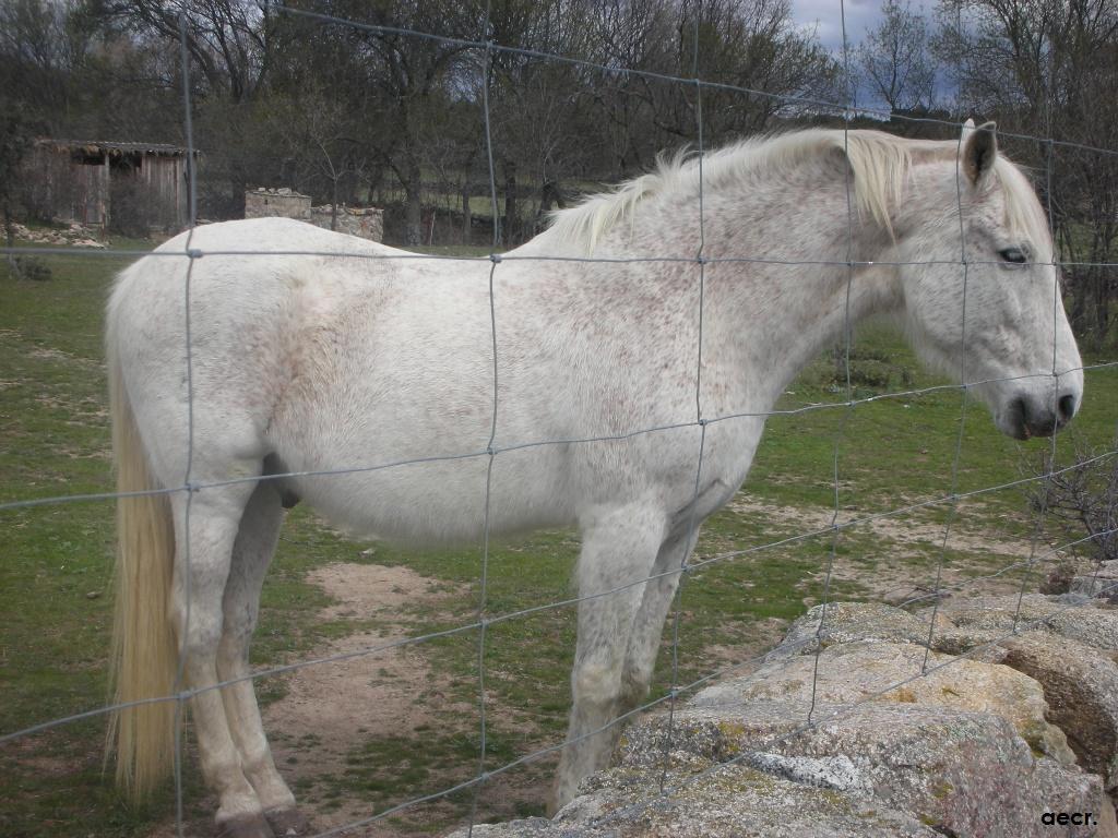 Foto de Valdemorillo (Madrid), España