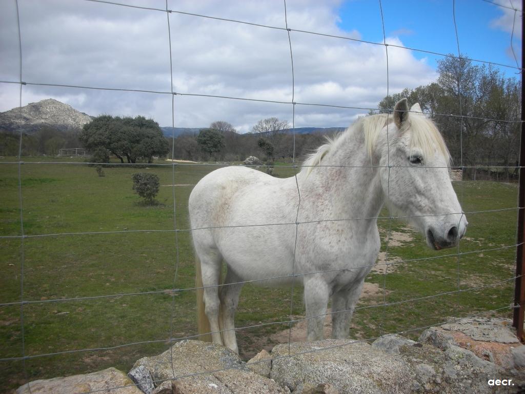 Foto de Valdemorillo (Madrid), España